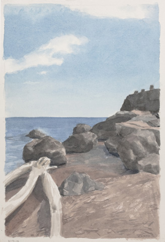 Beach Remnants
