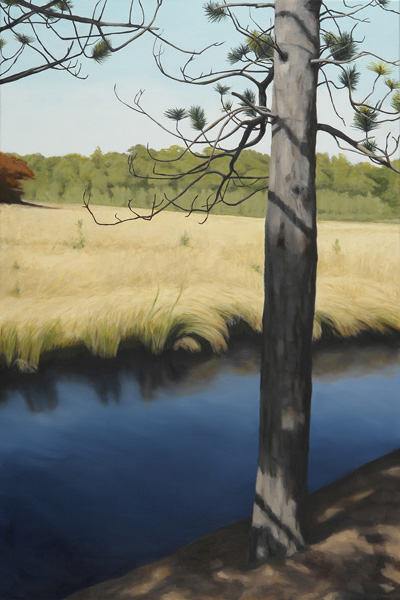Branch Dance (Bearskin Trail)