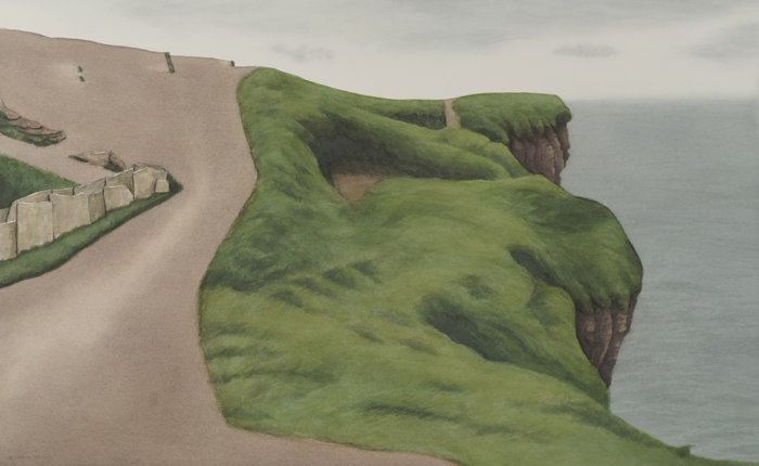 Thick Green Blanket