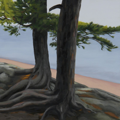 Tree Series: Copper Harbor I, MI