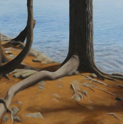 Tree Series: Copper Harbor II, MI