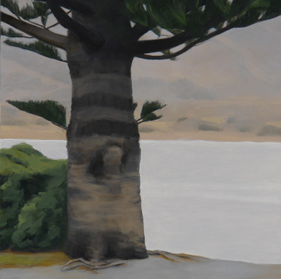 Tree Series: Kaikoura, NZ