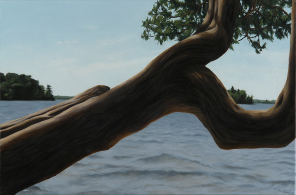 Trout Lake Tree Pose